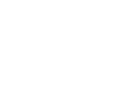 BR Evolution